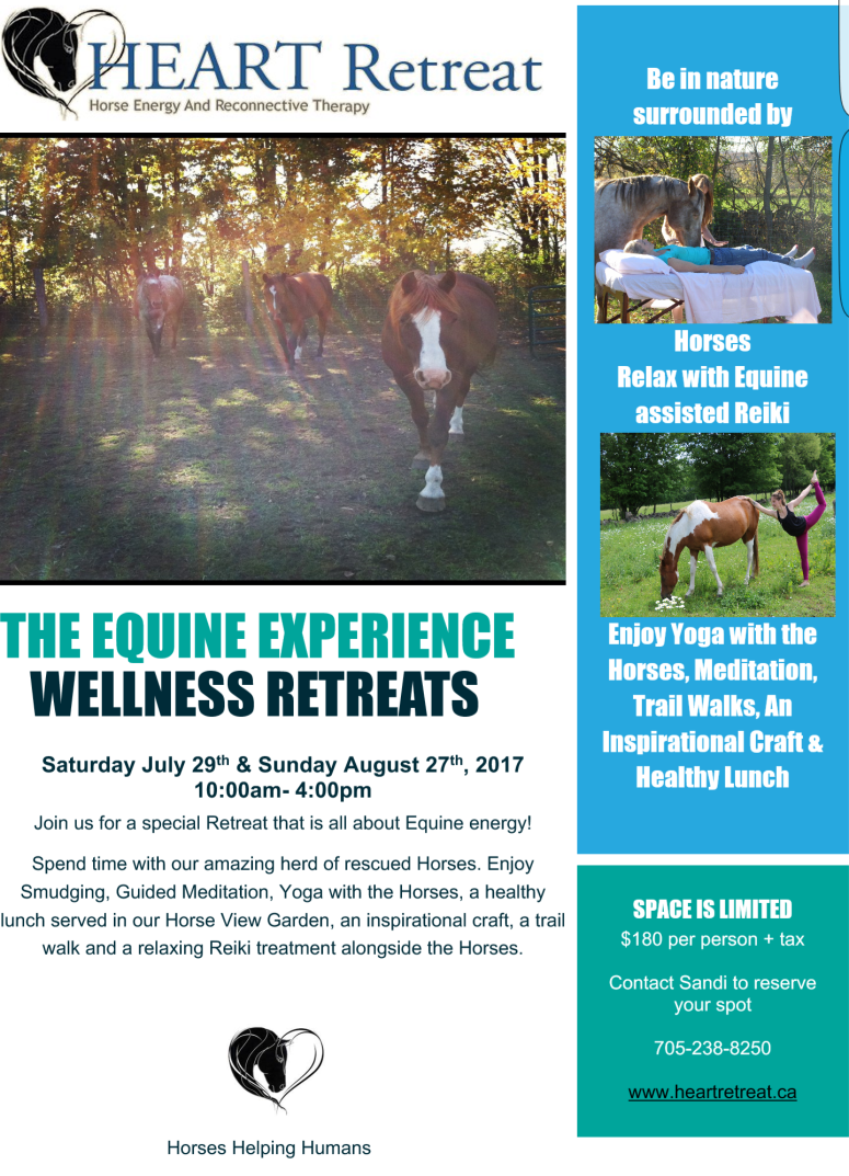 Screenshot_2017-07-21-11-32-02-1